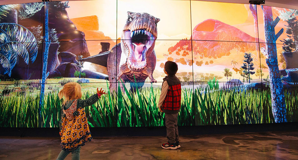 Media Servers & Players